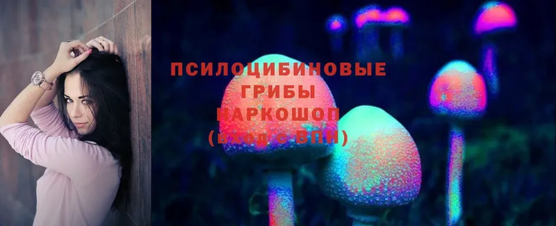 как найти закладки  Асино  Псилоцибиновые грибы Psilocybe 